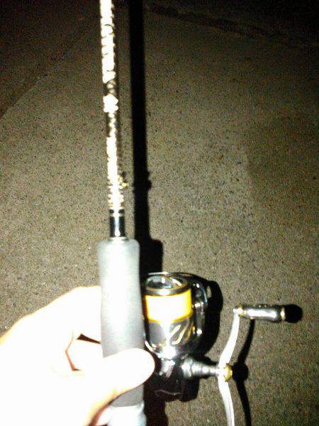 今年初ナイトエギング！